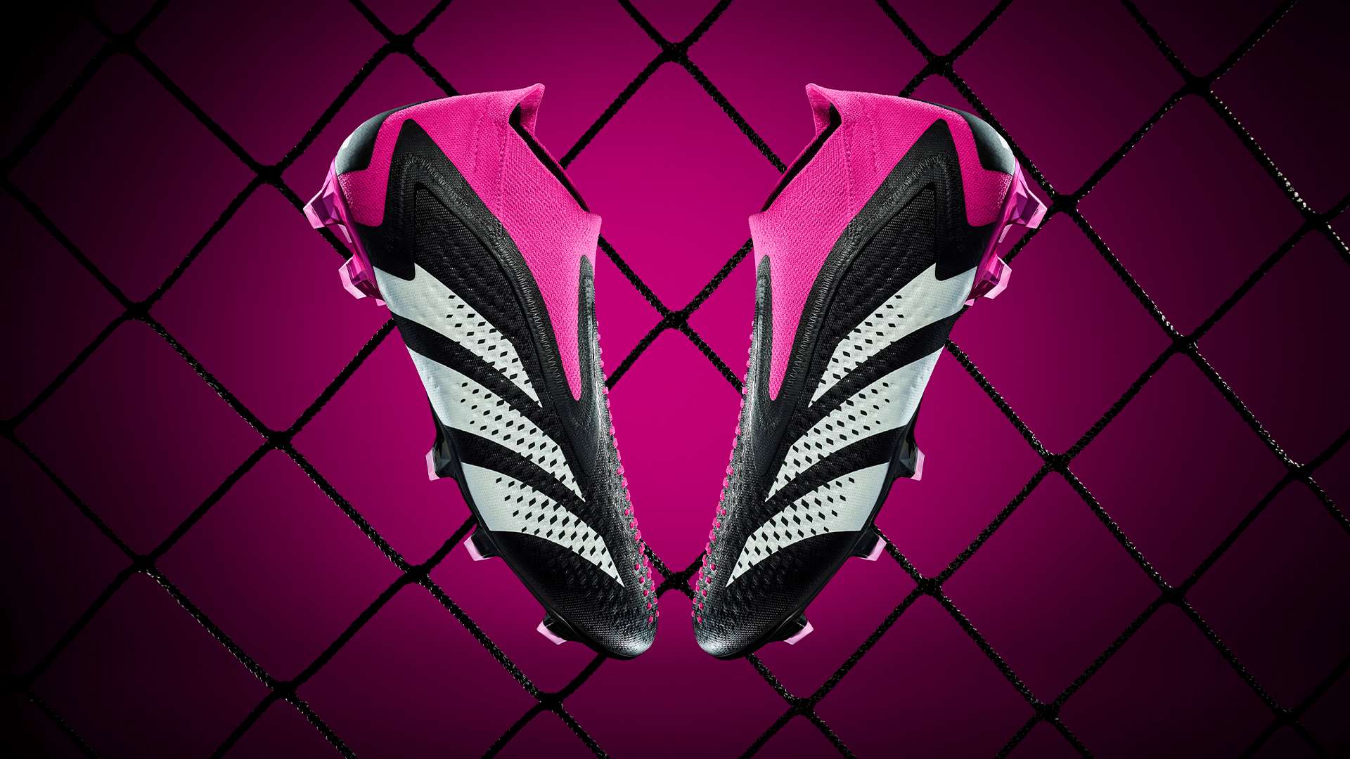 的网坛赛事 的网坛赛事